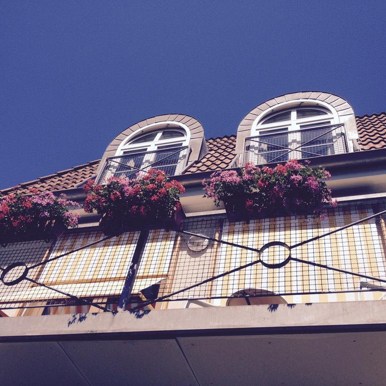 Parkhotel Flora Bad Grund Exterior photo